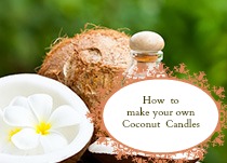 Make your own coconut candles.