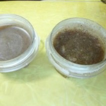 Pumpkin Pie Spice Lip Scrub & Balm