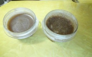 Pumpkin Pie Spice Lip Scrub & Balm