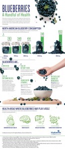 Health Benefits of Blueberries