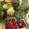 Community Supported Agriculture (CSA) Bounty