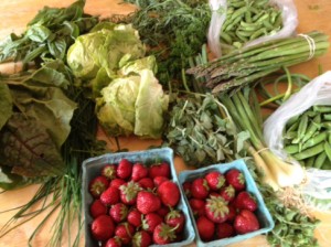 Community Supported Agriculture (CSA) Bounty