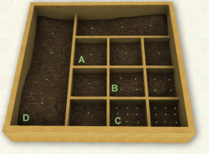 Square Foot Gardening